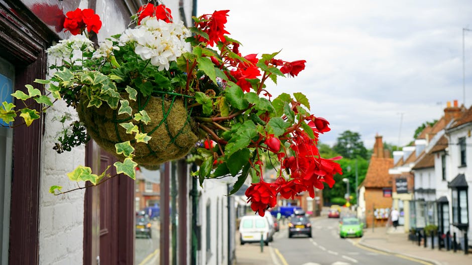 A hanging flower basket attached to the exterior wall of a building, featuring vibrant red geraniums and white hydrangeas, complemented by green ivy leaves. The basket is made of a natural fiber mater